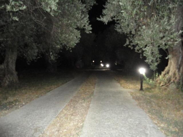 Liossis Rooms & Apartments Skopelos Dış mekan fotoğraf