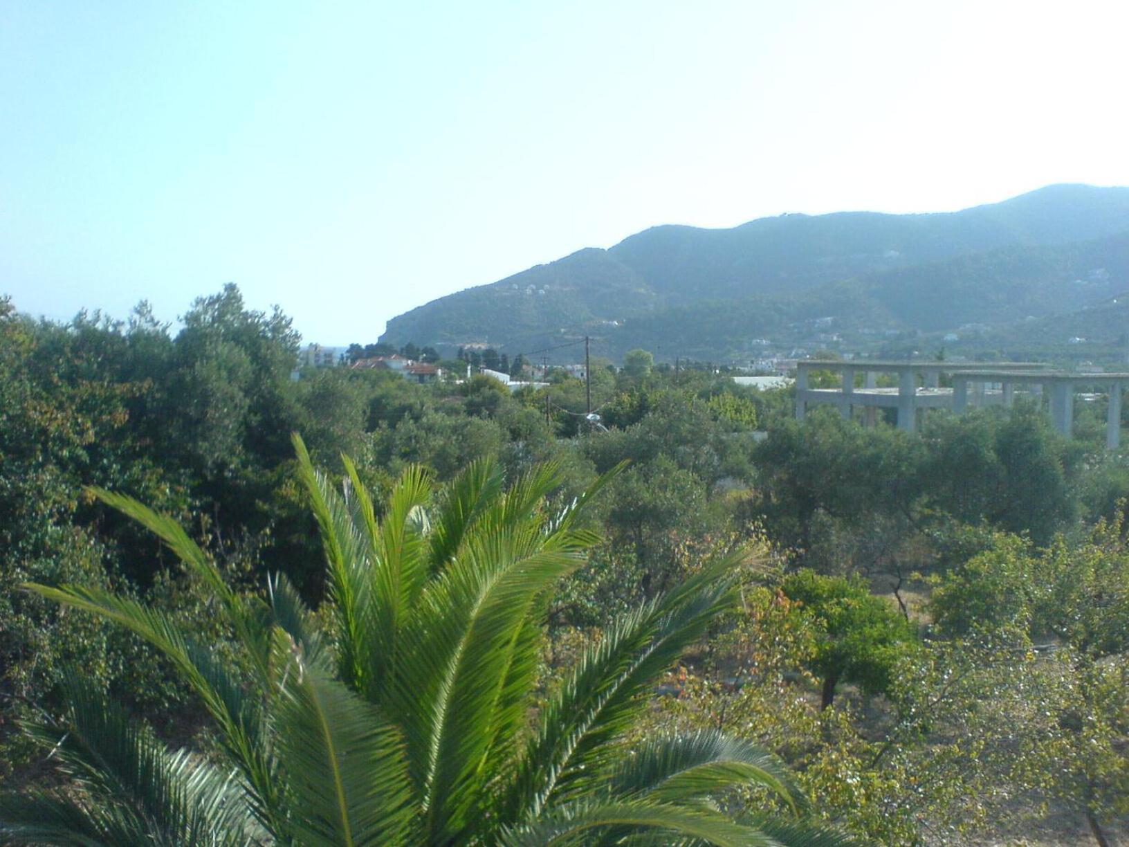 Liossis Rooms & Apartments Skopelos Dış mekan fotoğraf