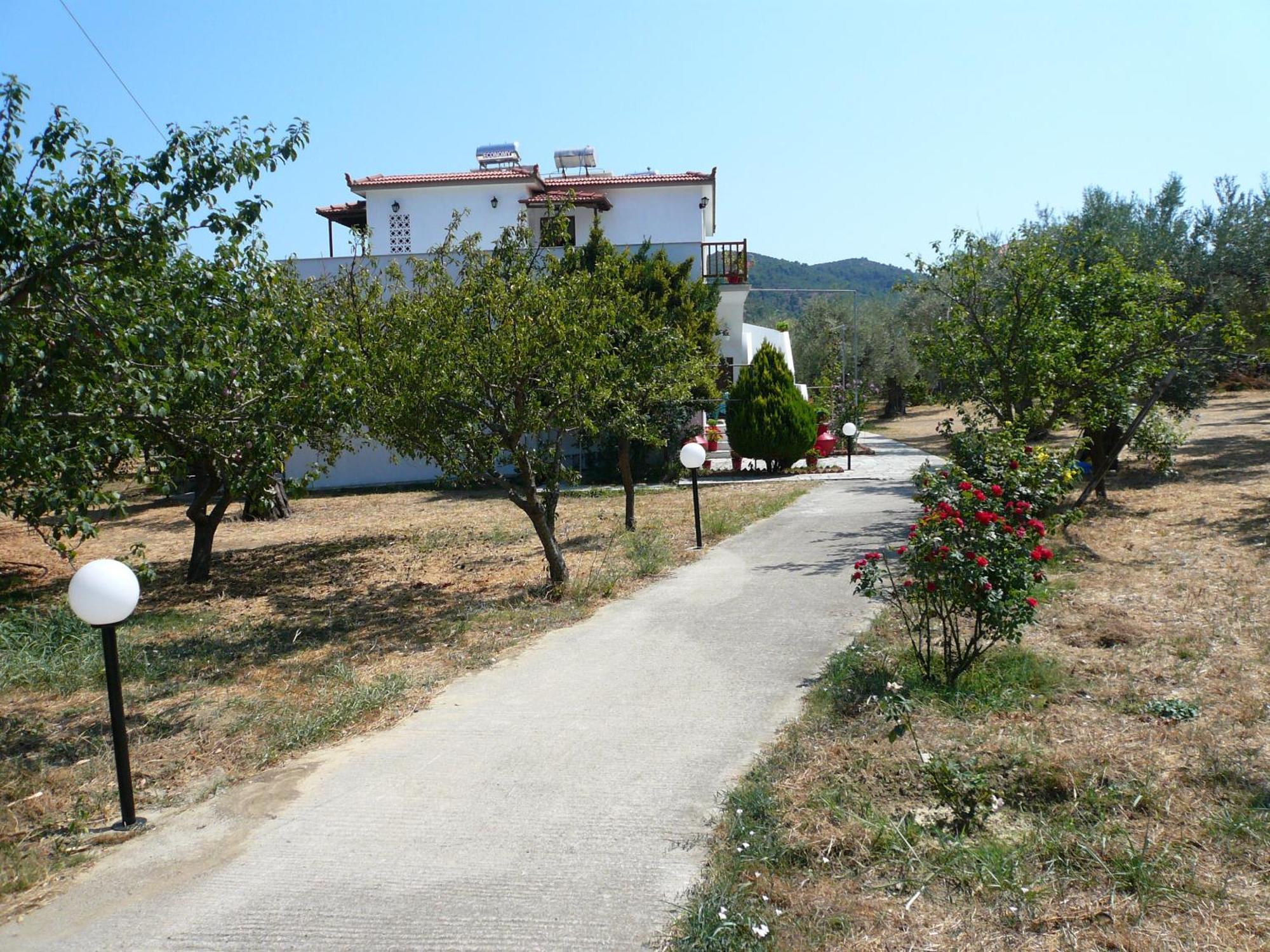 Liossis Rooms & Apartments Skopelos Dış mekan fotoğraf