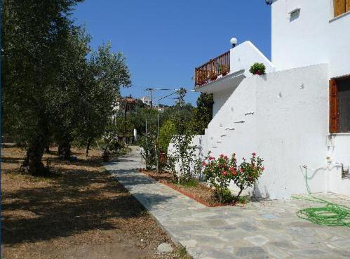 Liossis Rooms & Apartments Skopelos Dış mekan fotoğraf