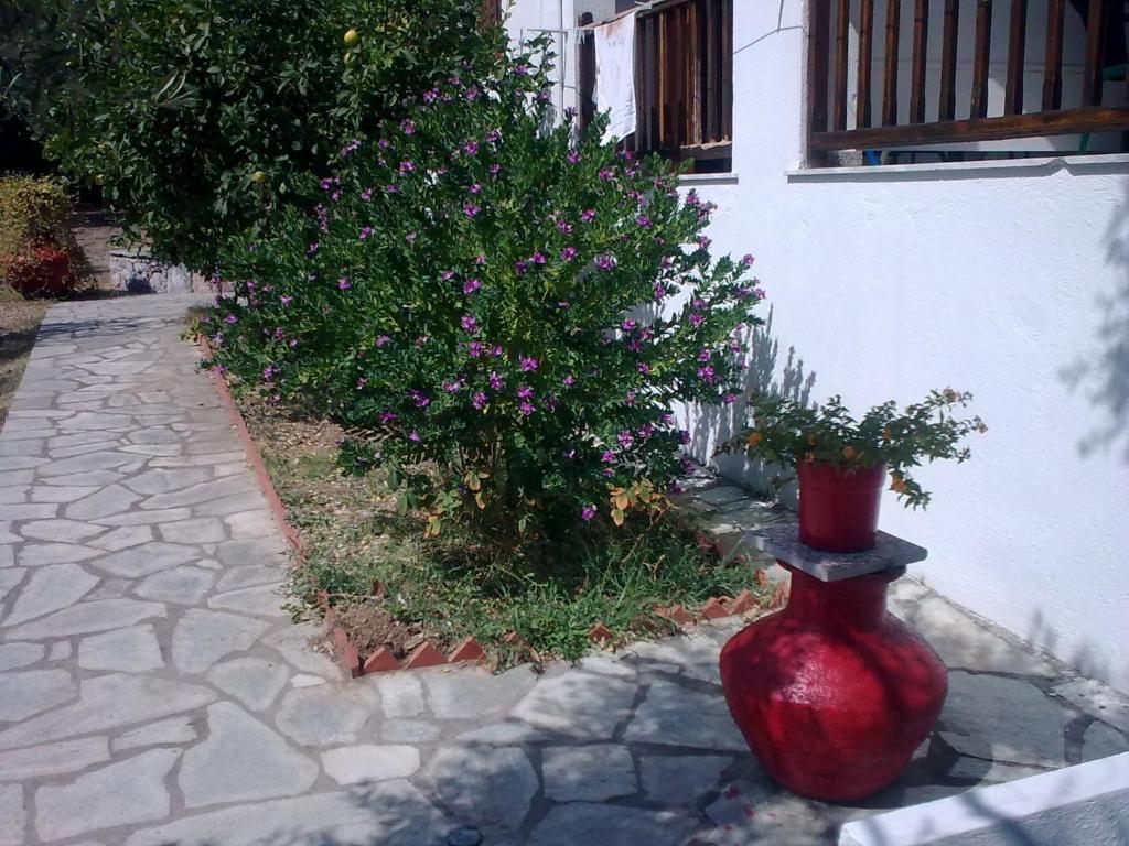Liossis Rooms & Apartments Skopelos Dış mekan fotoğraf